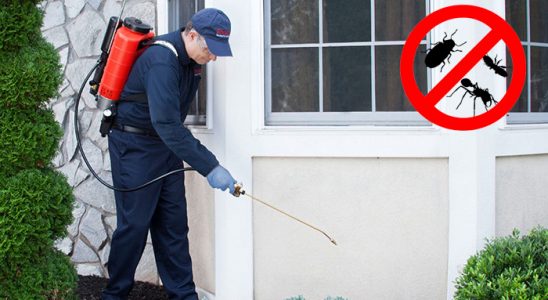 Yenifoça Böcek ve Haşere İlaçlama böcek ilaçlama ve haşere kontrolü — ilaclama-tr.com